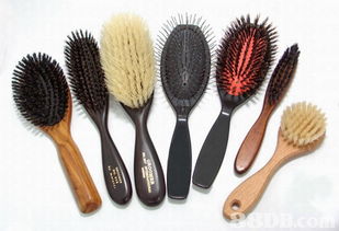 Academy of Modern Pet H.K. Ltd.: 全方位的寵物美容與健康解決方案